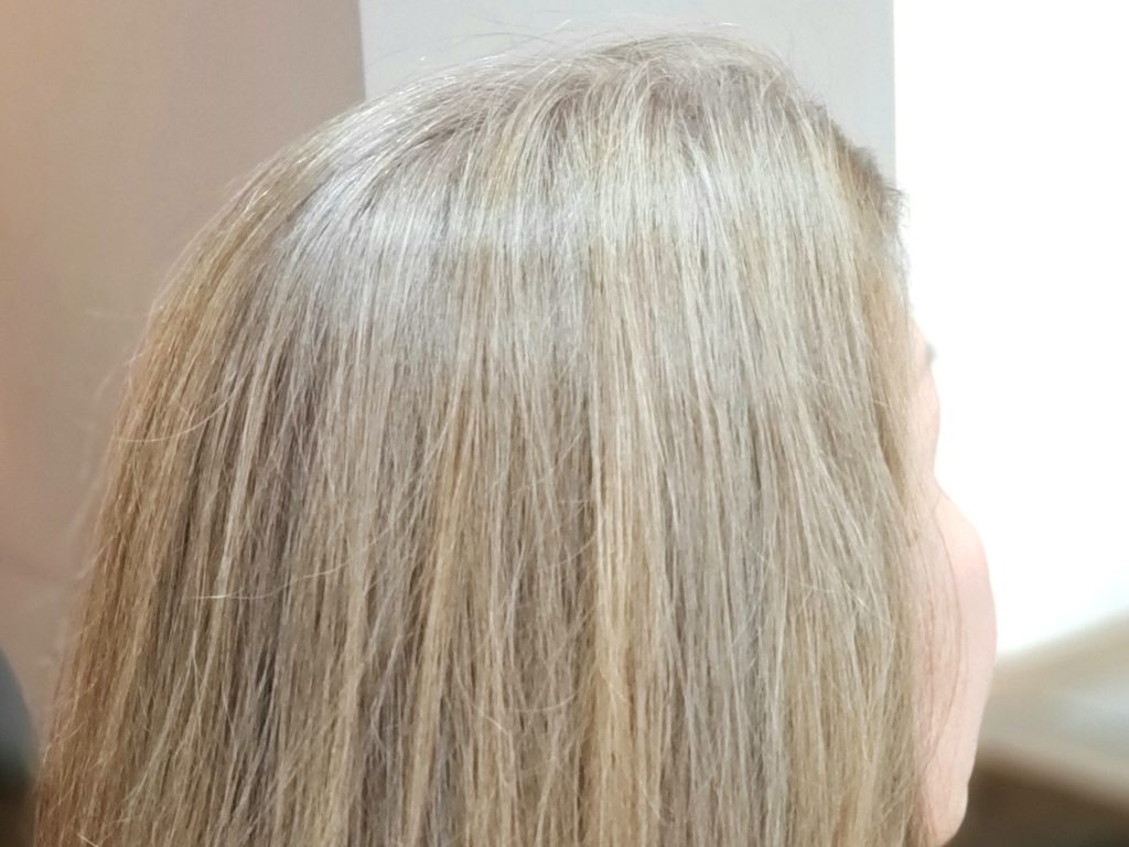 ブリーチをしないで白髪染めを自然にグレイヘアーにしていく方法 美容師 工藤愛のブログ